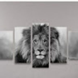 Meet your Posher, Mr